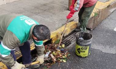 La Municipalidad desplegó cuadrillas para atender las zonas afectadas por la lluvia