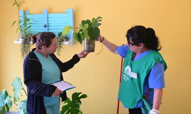 Dengue: en 23 de 35 barrios donde hay ovitrampas se detectó la presencia del vector