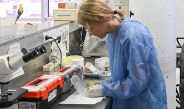 Red de Laboratorios: Provincia amplía la capacidad diagnóstica en el centro norte