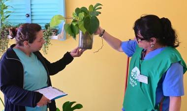 Primer año de la gestión Poletti: más de 15000 viviendas fueron visitadas en operativos de descacharrado