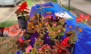 El Eco Canje visitará esta semana la Laguna Juan de Garay y la Plaza Centenario