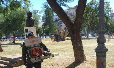 Se informa el cronograma de fumigaciones previsto para esta semana