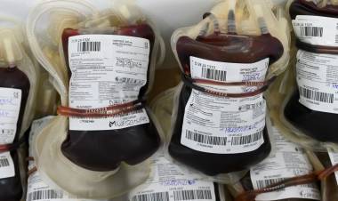 Salud: Santa Fe registró 6.330 donantes de sangre durante 2024