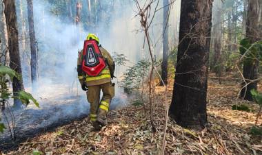 Brigadistas santafesinos lograron controlar voraz incendio en Capitán Bermúdez