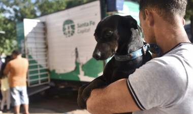 El IMUSA realizará castraciones gratuitas en barrio Acería