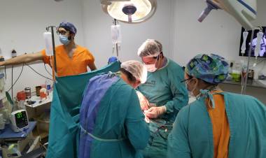 En un fin de semana hubo tres donaciones de órganos en Santa Fe