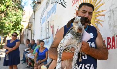 En febrero: atenciones de IMUSA, Ecocanjes y la oficina móvil del Cementerio estarán en distintas vecinales