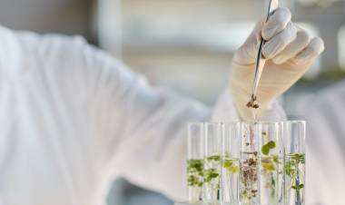 Otorgan €1 millón a un proyecto pionero sobre cultivos resilientes al clima 