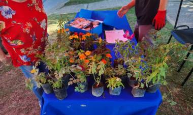 Eco Canje: cronograma para el mes de marzo