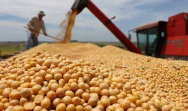 Brasil podría reemplazar a Estados Unidos como proveedor mundial de alimentos