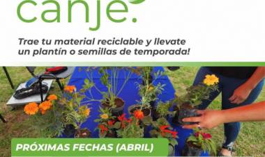 Eco Canje: el programa municipal continúa recorriendo los barrios