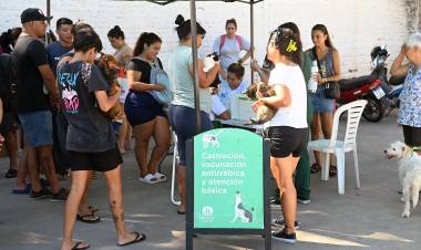 En el Mes del Animal, IMUSA realizó más de 15.000 atenciones