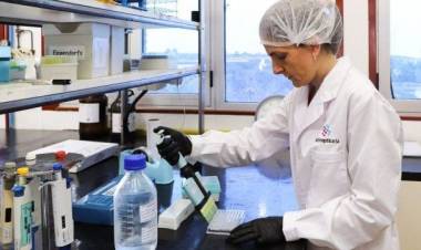 De Santa Fe al mundo: EE.UU. patentó una biomolécula de la UNL con potencial contra el Alzheimer y el Parkinson