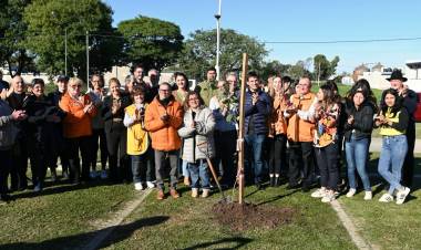 Santa Fe homenajea a 1.300 donantes de órganos con la plantación de árboles en todo el territorio provincial