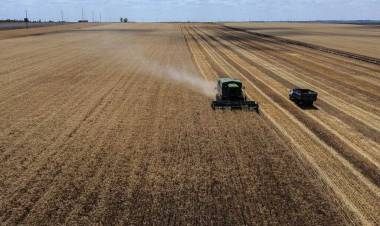 El campo santafesino se involucra en la Nueva Constitución