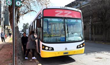 Línea 22: en el primer mes, 48.000 santafesinos usaron este nuevo servicio