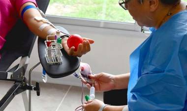 Día Mundial del Donante de Sangre: Provincia realiza unas 200 colectas al año en 70 localidades