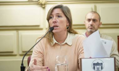 Armas Bellavi:"Pullaro quiere gobernar con emergencias no con un plan real"