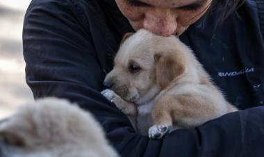 IMUSA realizó más de 10.000 atenciones durante el mes de junio