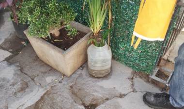 Operativos de descacharrado en instituciones educativas y deportivas para prevenir el dengue