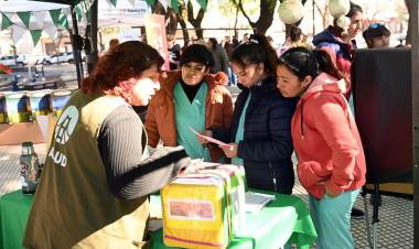 Dengue: “El descacharrado en los hogares es la clave para la prevención