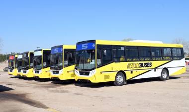El sistema de transporte público suma siete nuevas unidades al servicio de colectivos