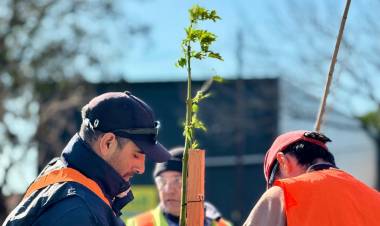 Santo Tomé celebró el Día del Árbol con una jornada de plantación