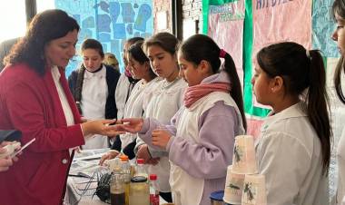 Educación: más de 700 estudiantes participarán de la Feria Provincial de Proyectos