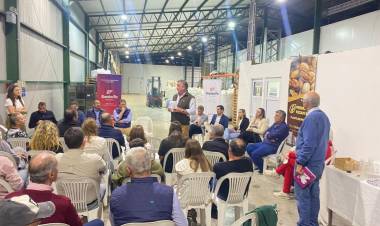 Santa Fe impulsa la producción de nuez pecán con el lanzamiento de la primera Mesa Provincial para el sector