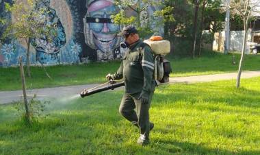 La Municipalidad comenzó a fumigar en espacios verdes de cara a la temporada de verano
