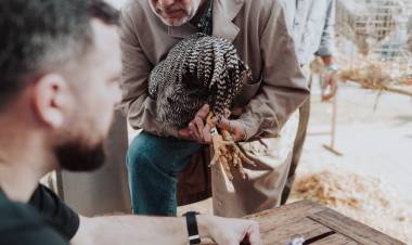 Rafaela celebró el centenario de la jura de animales de granja por estándar