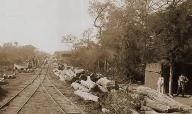 Dinero extranjero y ecocidio