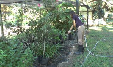 La Escuela Granja de la UNL desarrolla un sistema de riego automatizado 