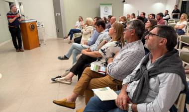 Hay una gran oportunidad entre el carbono neutro y la libre deforestación