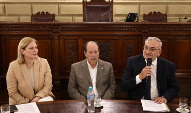 La Cámara de Senadores rindió homenaje al teniente de navio Owen Crippa