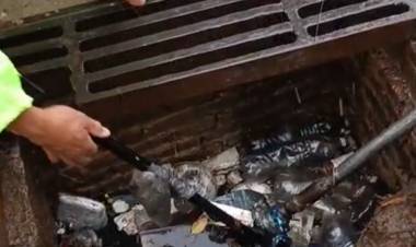 Equipos municipales recorren la ciudad atendiendo puntos críticos: “Las estaciones de bombeo están funcionando a pleno”