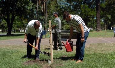 Campaña de forestación: el intendente Poletti plantó el árbol número 5000 del año