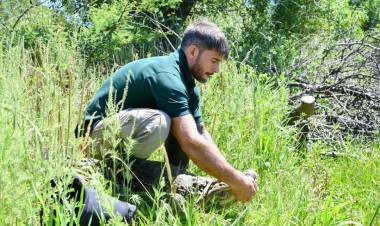 Ambiente: se concretó en Santa Fe la reinserción de Ricardito, el yacaré que pasó más de 10 años en el Instituto Malbrán