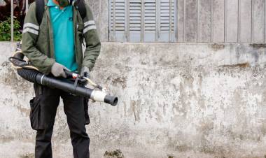 Dengue: se confirmó la presencia del vector en 35 barrios de la ciudad