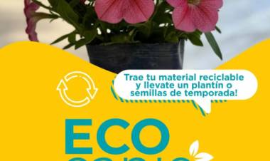 Eco Canje: cronograma de enero 2026