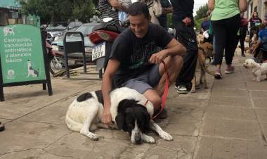 El Imusa realizará castraciones masivas gratuitas en la vecinal San Lorenzo