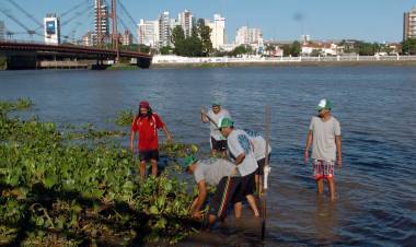 La Municipalidad intensifica la limpieza de la Laguna Setúbal con cooperativas de excuidacoches