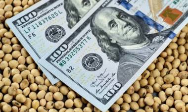 Récord de actividad en la cadena agropecuaria