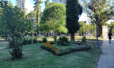 La ciudad se transforma con más de 100 nuevos canteros y una fuerte apuesta a la infraestructura verde