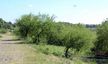 La Municipalidad realizará trabajos de mantenimiento en el talud de la Costanera Oeste
