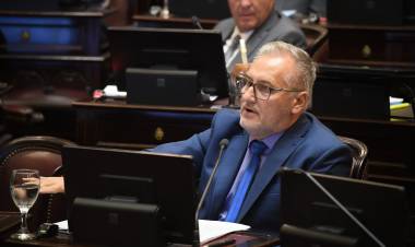 Lewandowski: "No hay ningún artículo de esta Ley que beneficie a los trabajadores"