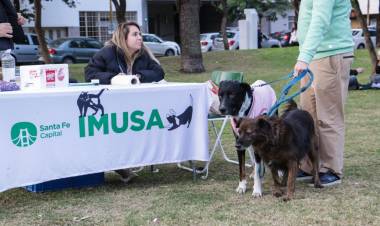 La Muni Cerca llega a Los Troncos