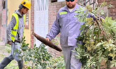 La Municipalidad trabaja ante las condiciones climáticas que afectaron a la ciudad