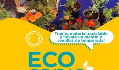 EcoCanje: cronograma de marzo 2026 y puntos de intercambio en la ciudad