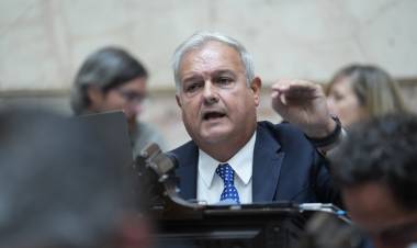 ​El incremento del corte de biocombustibles en los combustibles líquidos debe ser una medida sostenida y pensada a mediano y largo plazo